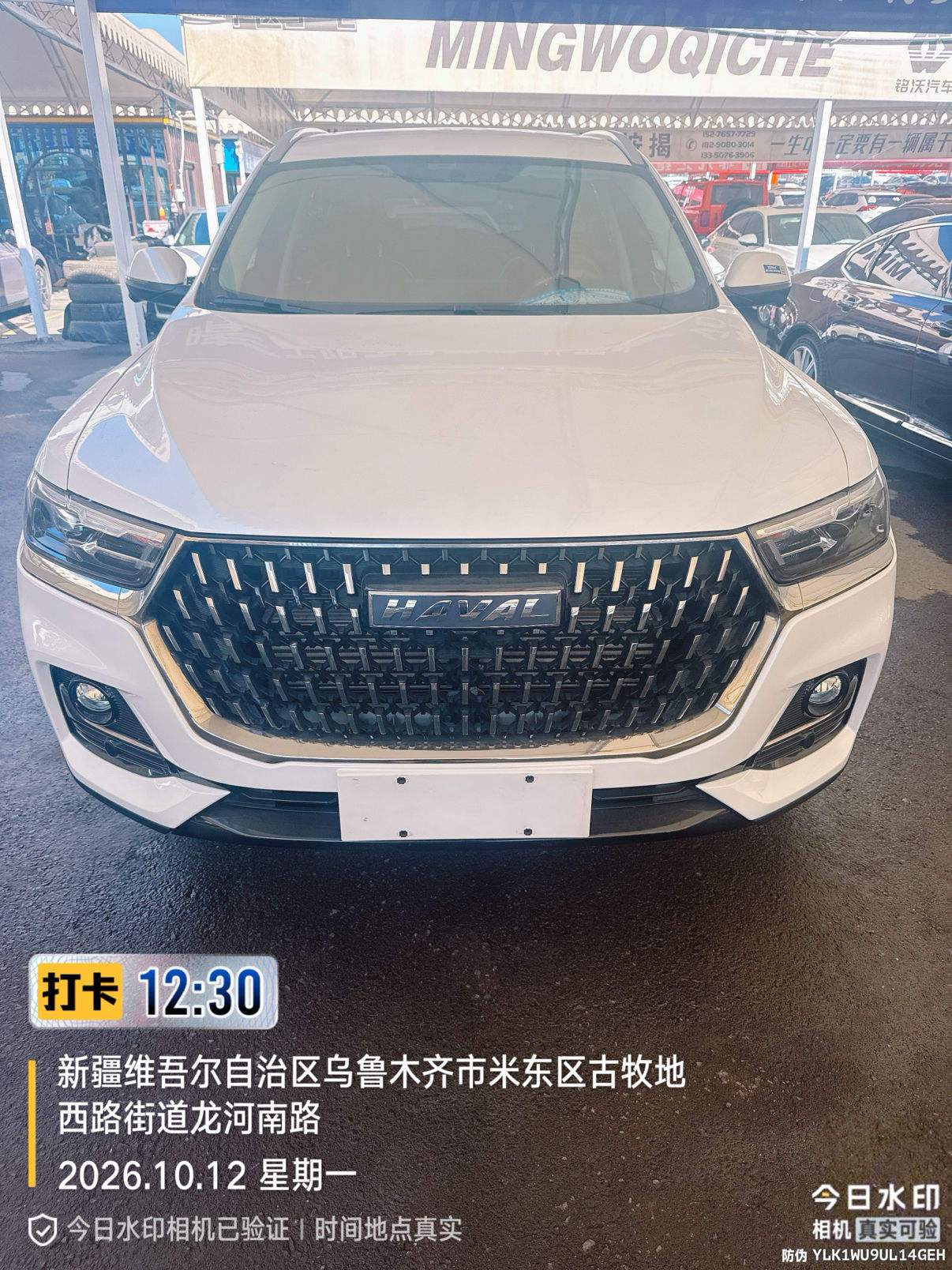 Haval H6, 2023 год